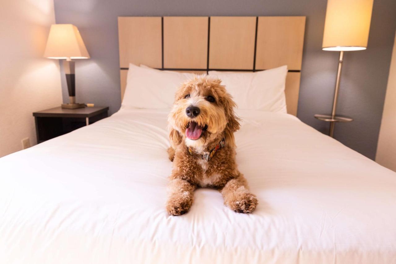 Sonesta Simply Suites Pittsburgh Airport Imperial Esterno foto